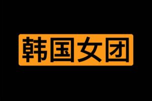 韩国女团4K视频30多部合集